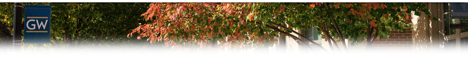 GW campus with leaves changing